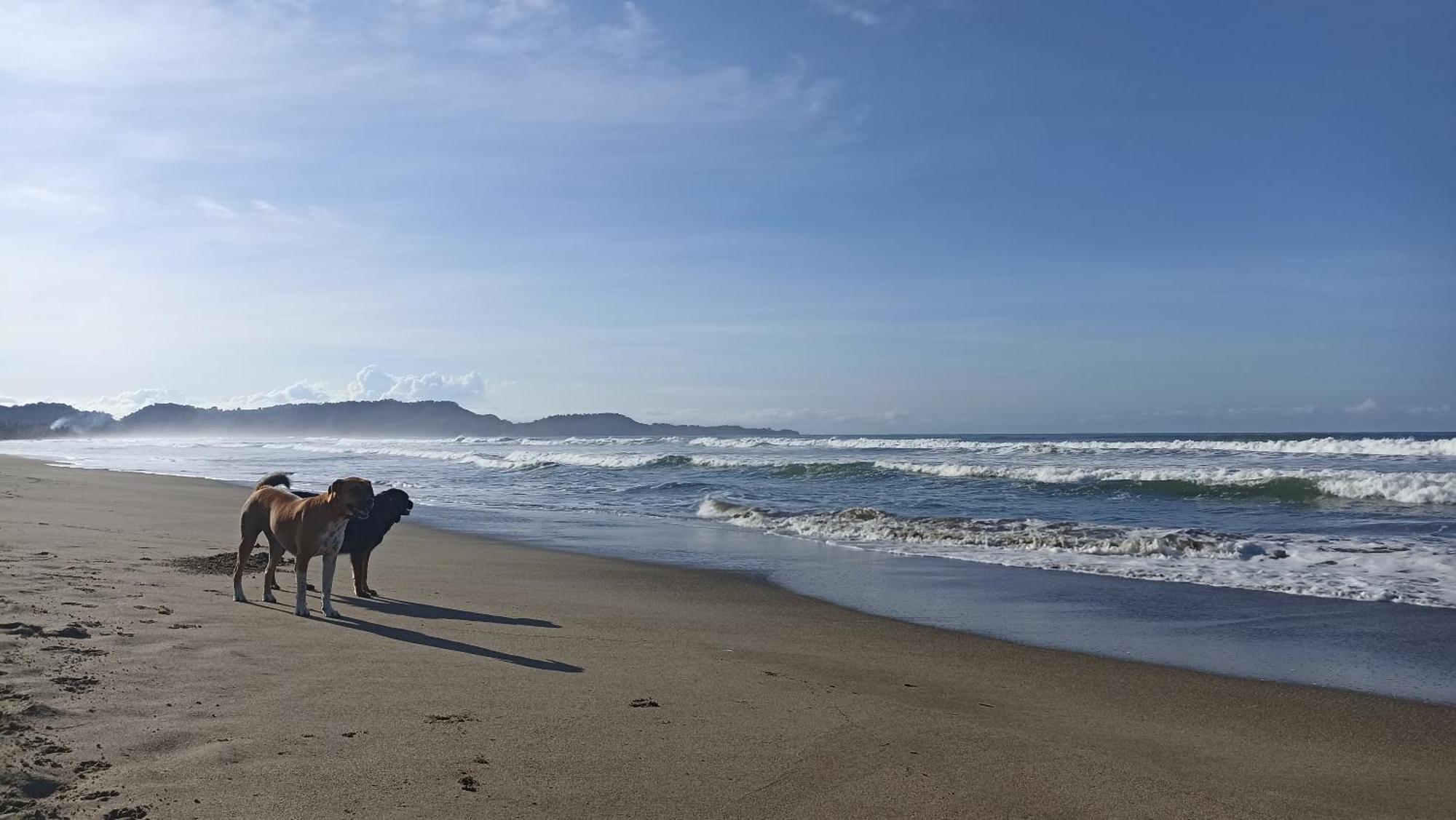 Hostel Alouatta Playa Coyote San Francisco de Coyote Zewnętrze zdjęcie