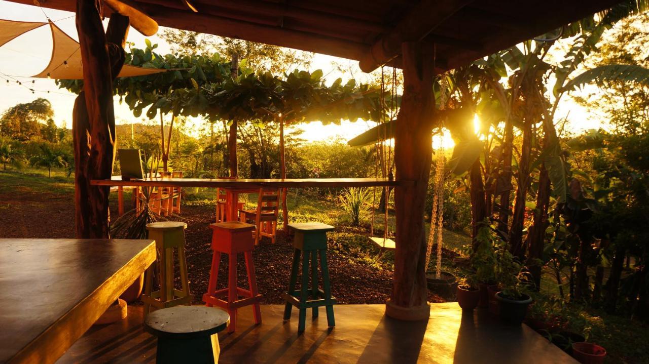 Hostel Alouatta Playa Coyote San Francisco de Coyote Zewnętrze zdjęcie