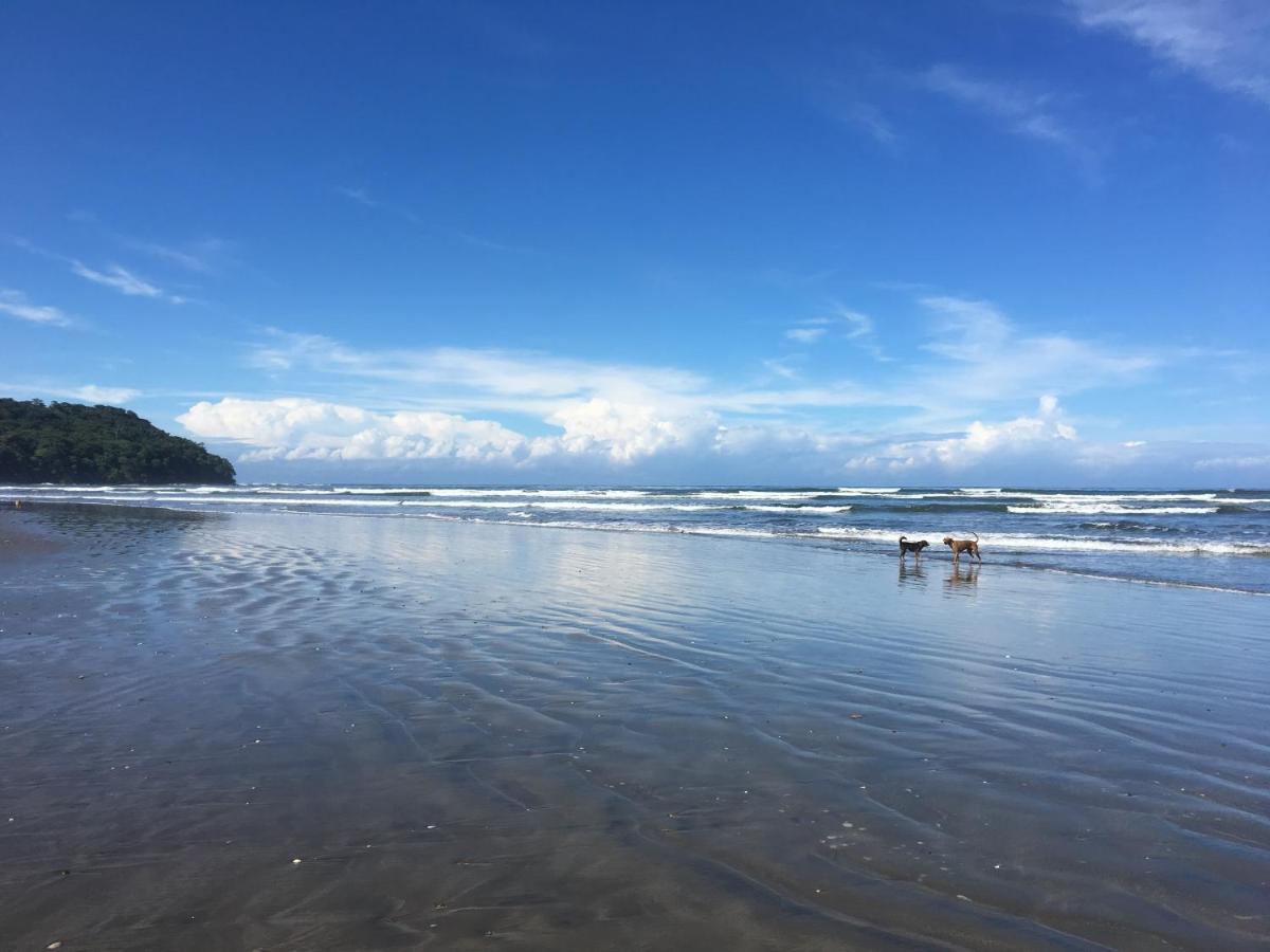 Hostel Alouatta Playa Coyote San Francisco de Coyote Zewnętrze zdjęcie